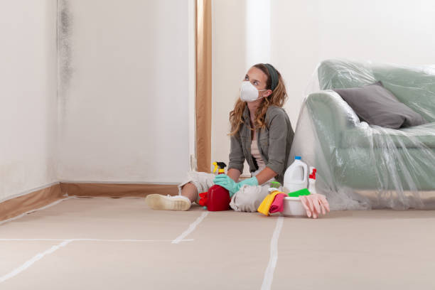 Reliable Commercial Mold Remediation contractor in DeWitt, MI by WQB Mold Removal